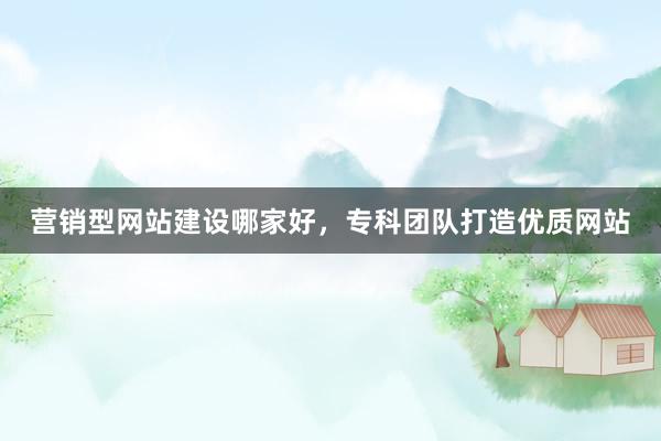营销型网站建设哪家好，专科团队打造优质网站