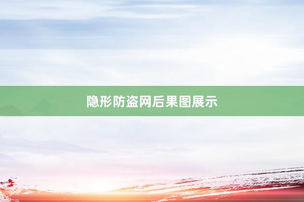 隐形防盗网后果图展示